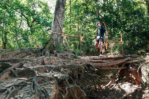 BIB: 
                            <button type="button" onclick="openModal(27800136)" class="btn btn-primary btn-sm float-right btn-popup" data-toggle="modal" data-target=".modal-high-quality">
                        <i class="fas fa-shopping-cart"></i> Add to Cart
                    </button>
                                            <button type="button" onclick="isThisMe(27800136, true)" class="btn btn-success btn-sm float-right btn-popup btn-isme hidden" data-toggle="tooltip" data-placement="bottom" title="นี่คือรูปของคุณใช่ไหม คลิกที่นี่เพื่อเอาเข้าอัลบั้ม">
                        <i class="fas fa-plus"></i> Add to album
                    </button>
                    <button type="button" onclick="isThisMe(27800136, false)" class="btn btn-warning btn-sm float-right btn-popup btn-isnotme hidden">
                        <i class="fas fa-ban"></i> Remove from album
                    </button>